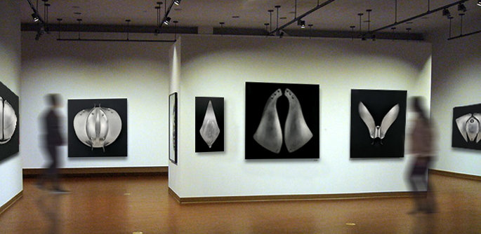 Test galerie
