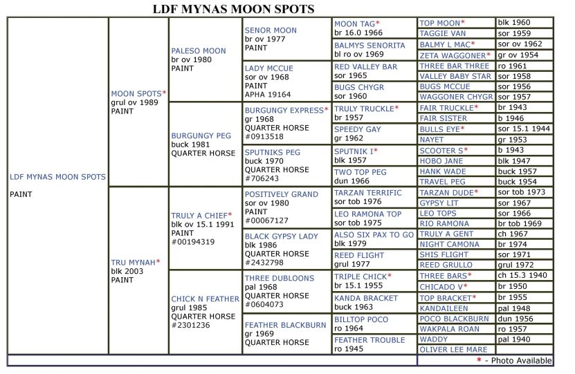 Ldf-Mynas-Moon-Spots-Paint