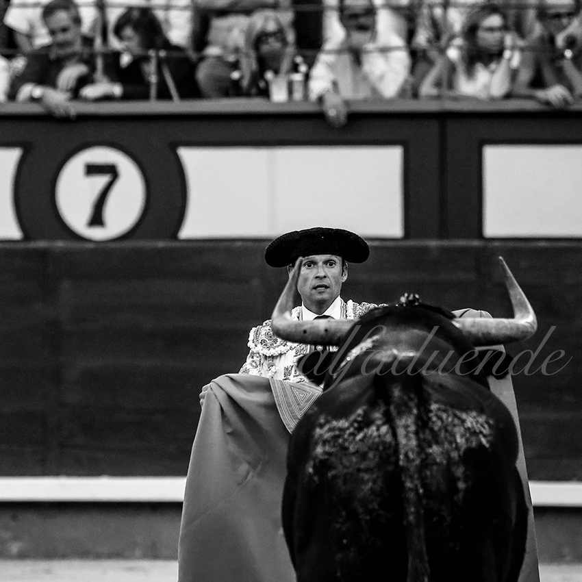 Madrid 20191005 003 copie