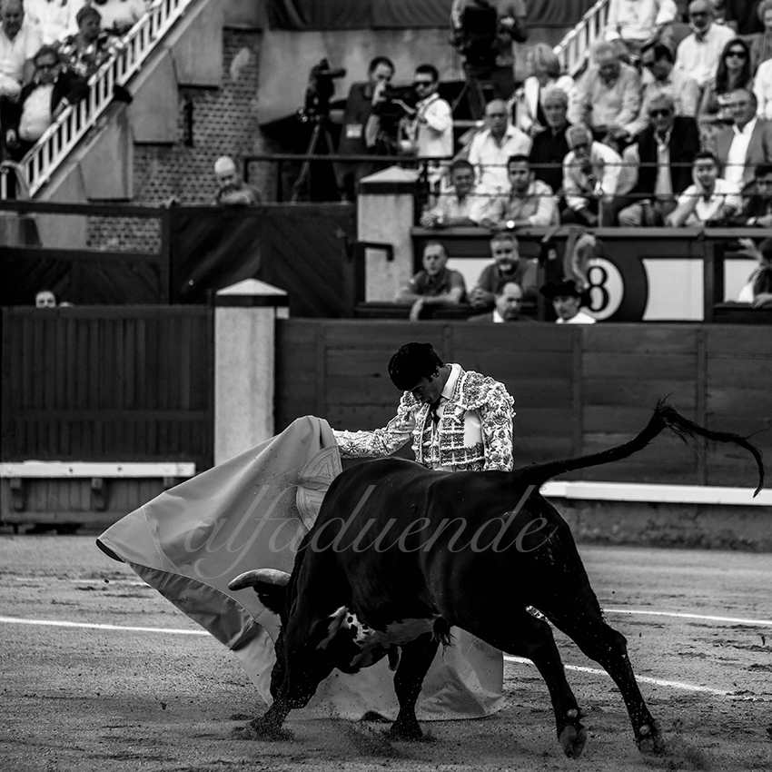 Madrid 20191005 004 copie