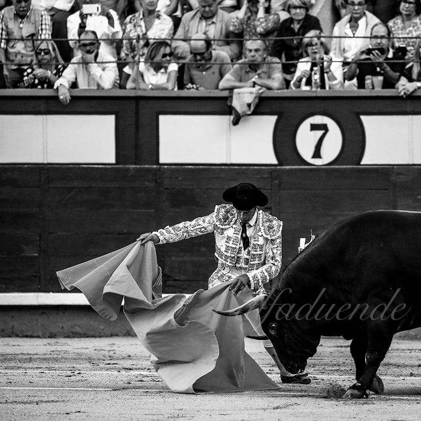 Madrid 20191005 005 copie