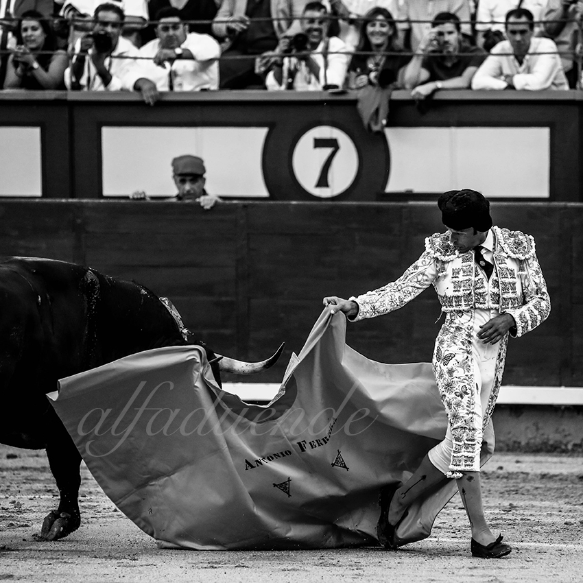 Madrid 20191005 006 copie