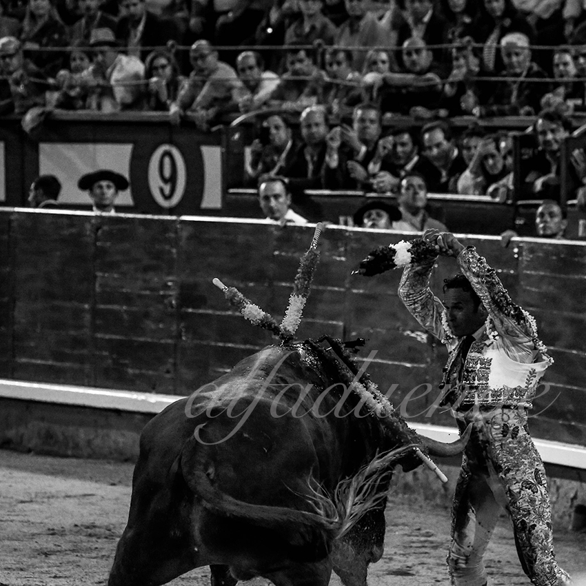 Madrid 20191005 007 copie