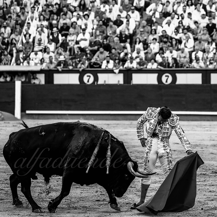 Madrid 20191005 008 copie