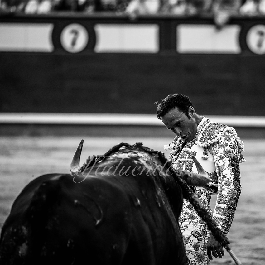 Madrid 20191005 010 copie