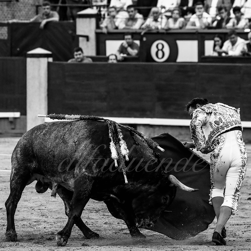 Madrid 20191005 011 copie