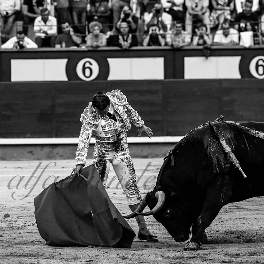 Madrid 20191005 012 copie