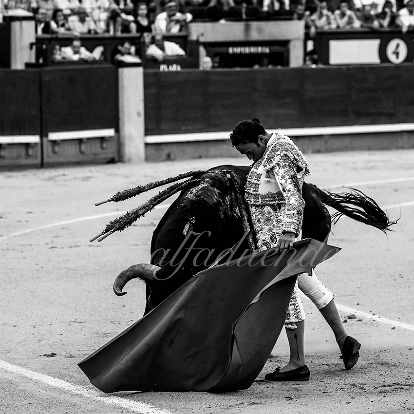 Madrid 20191005 013 copie