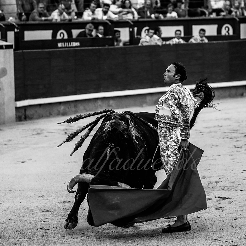 Madrid 20191005 014 copie