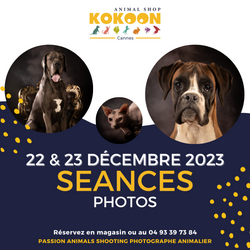 Cannes le 22 & 23 décembre