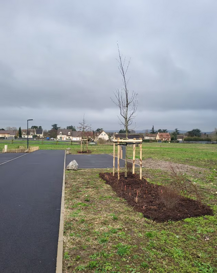 Capture d ecran 2026 04 23 170139