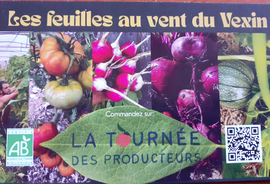 Capture d ecran 2026 04 24 172943