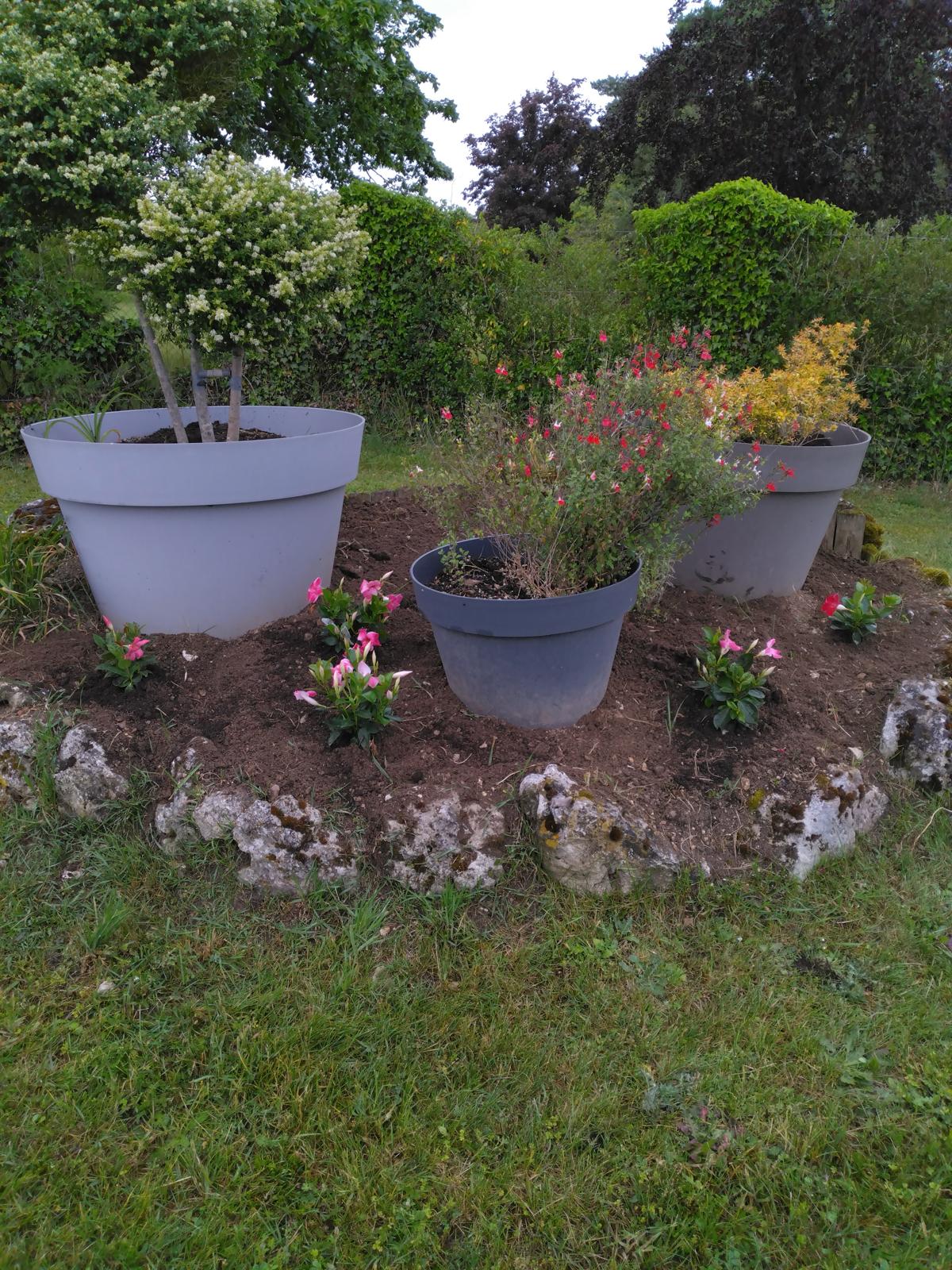 2026 image-plantations