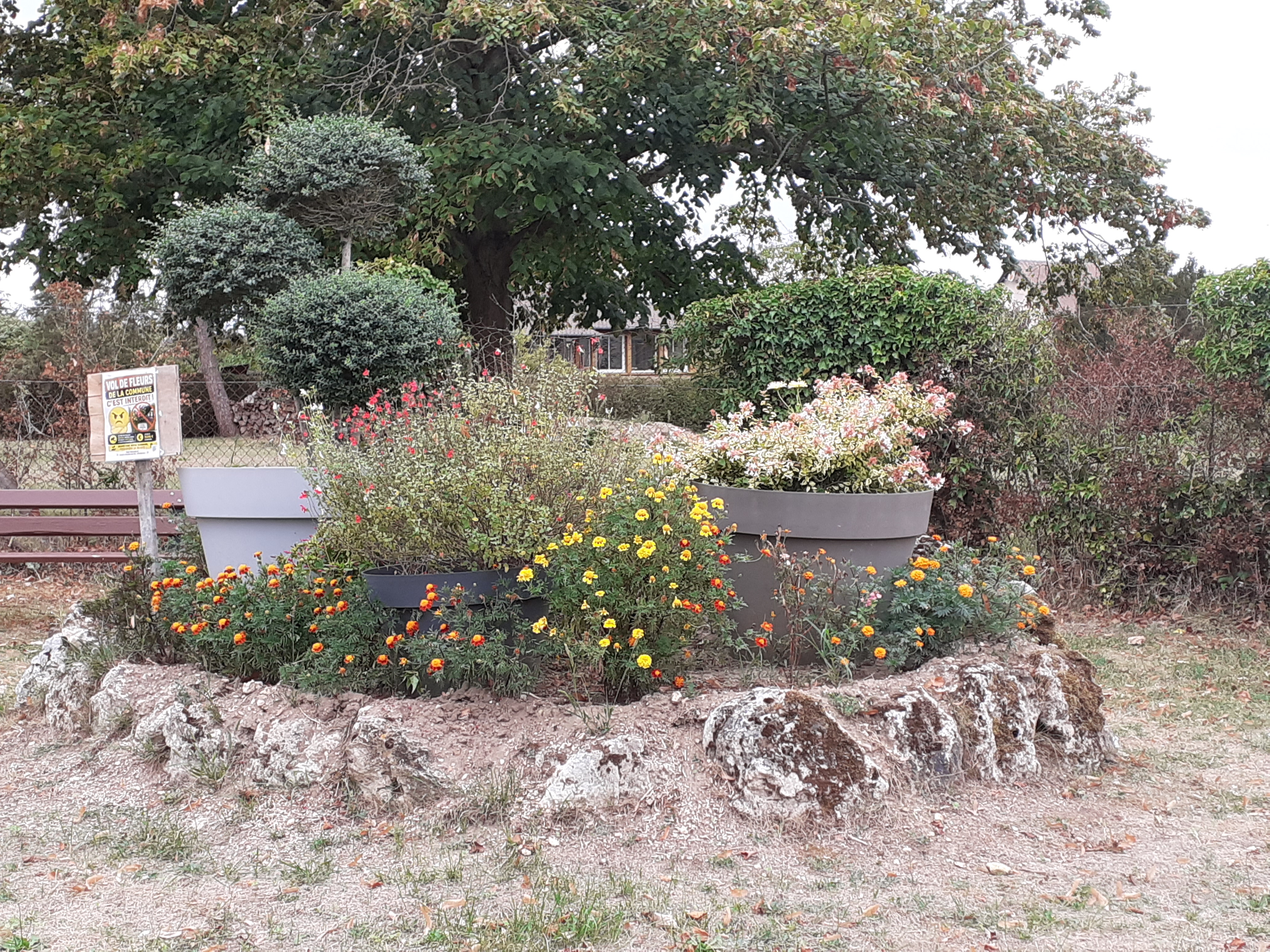 2026 Jardiniere-rond-point voie-aux-vaches