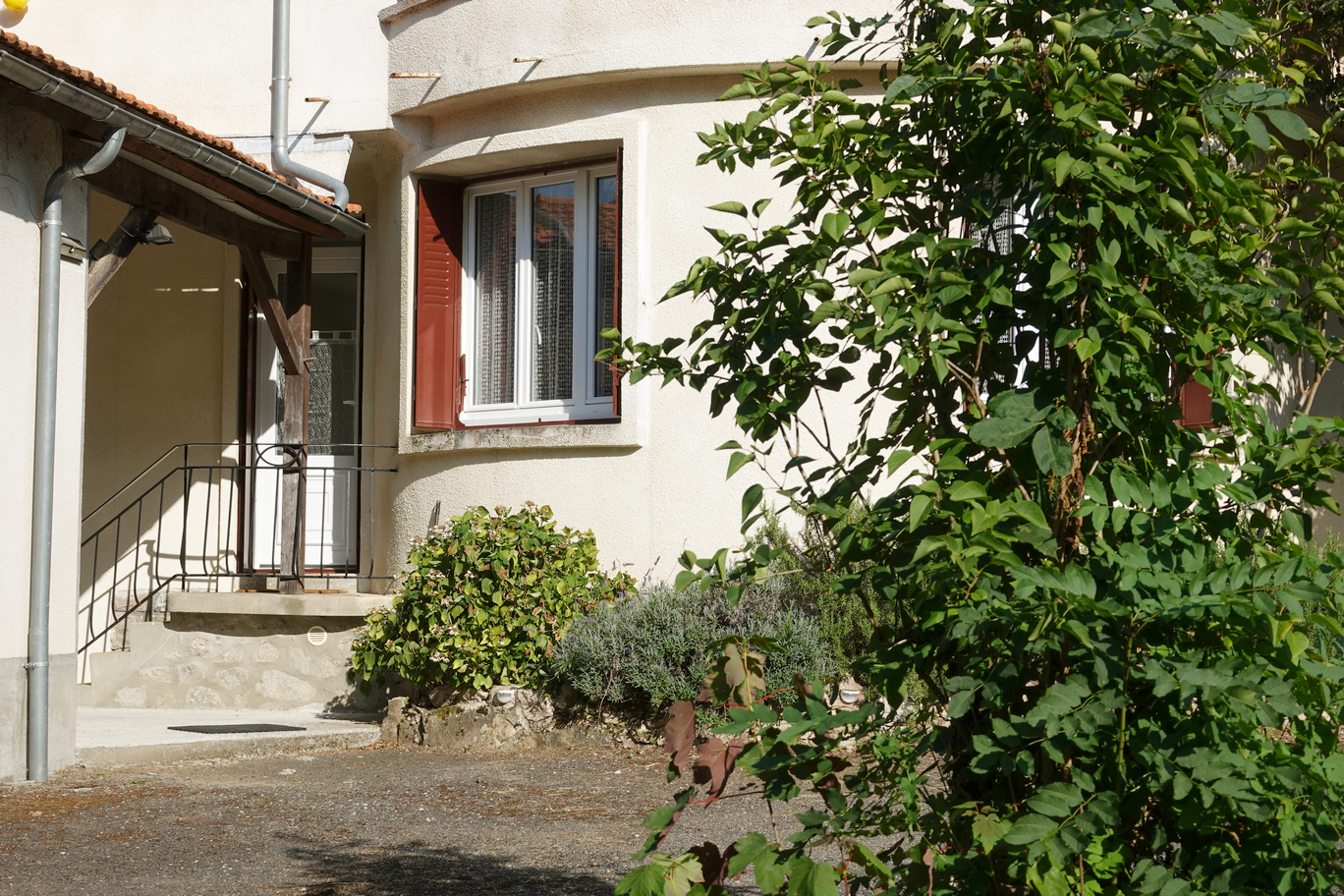 Dsc00288