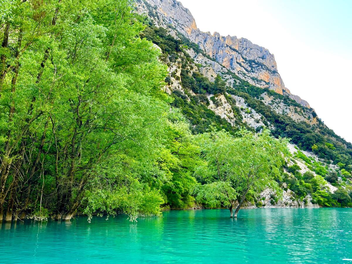 3df0f005 42d9 4c45 98e7 e49ee809d1da