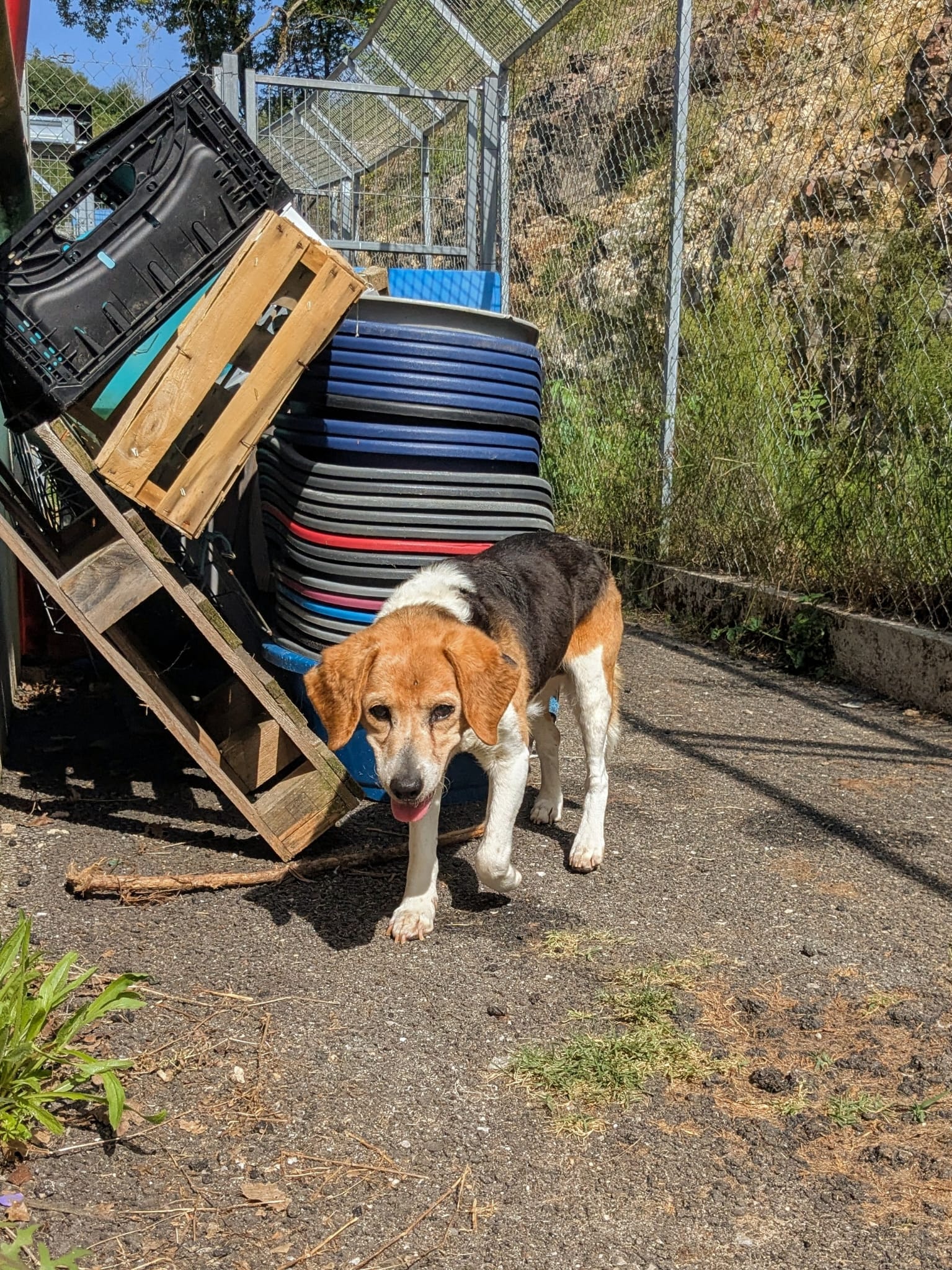 Whatsapp image 2025 06 11 at 19 11 57