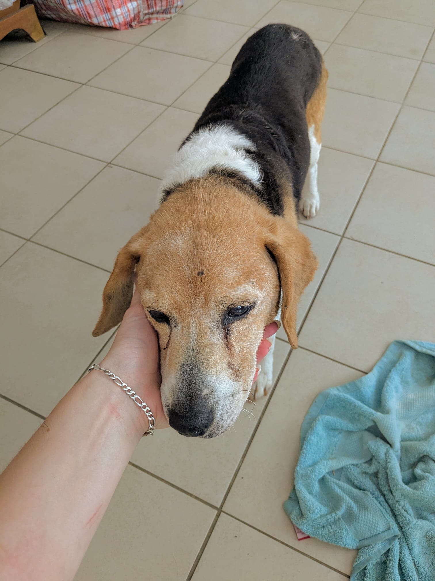 Whatsapp image 2025 06 11 at 19 11 56