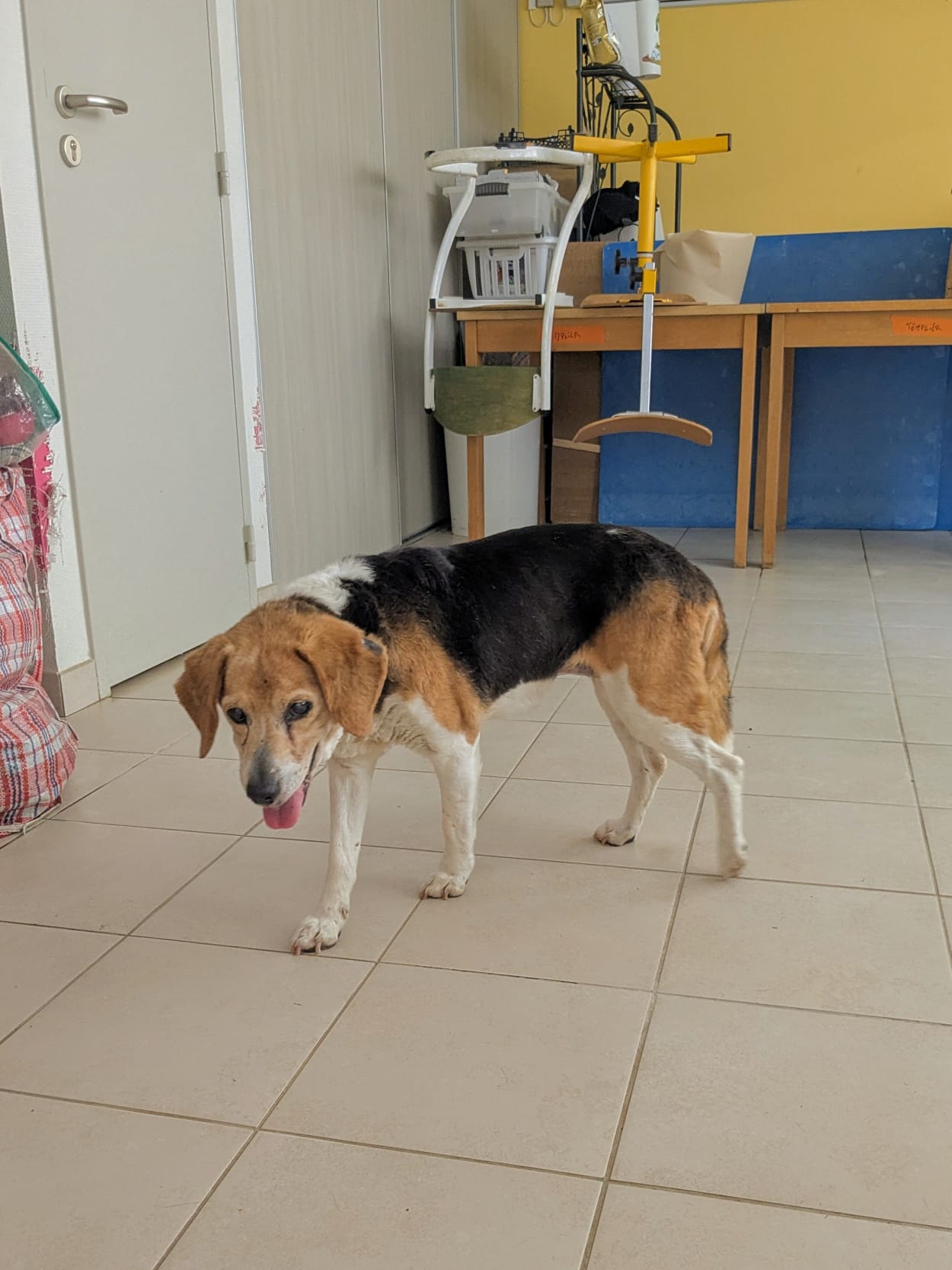 Whatsapp image 2025 06 11 at 19 11 56 2 