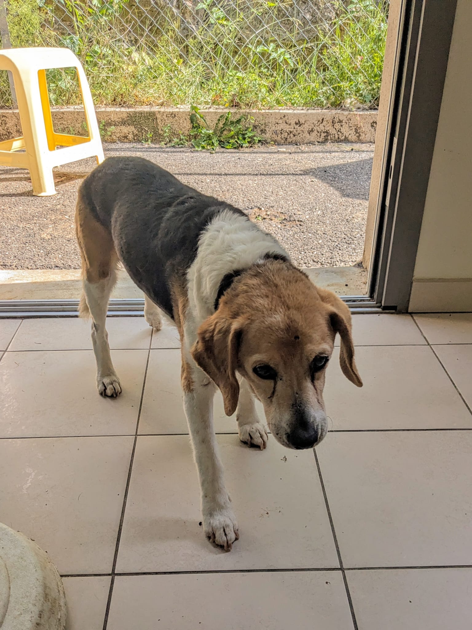 Whatsapp image 2025 06 11 at 19 11 56 1 