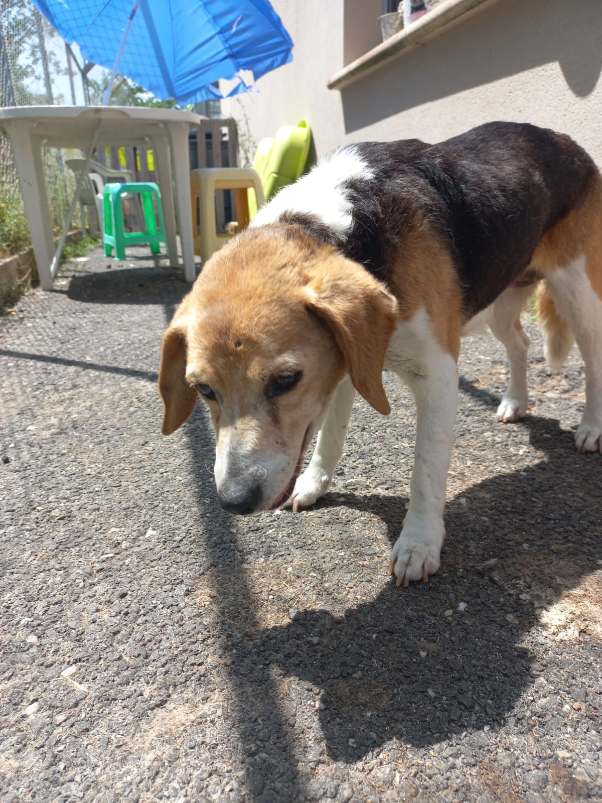 Whatsapp image 2025 06 13 at 15 16 46