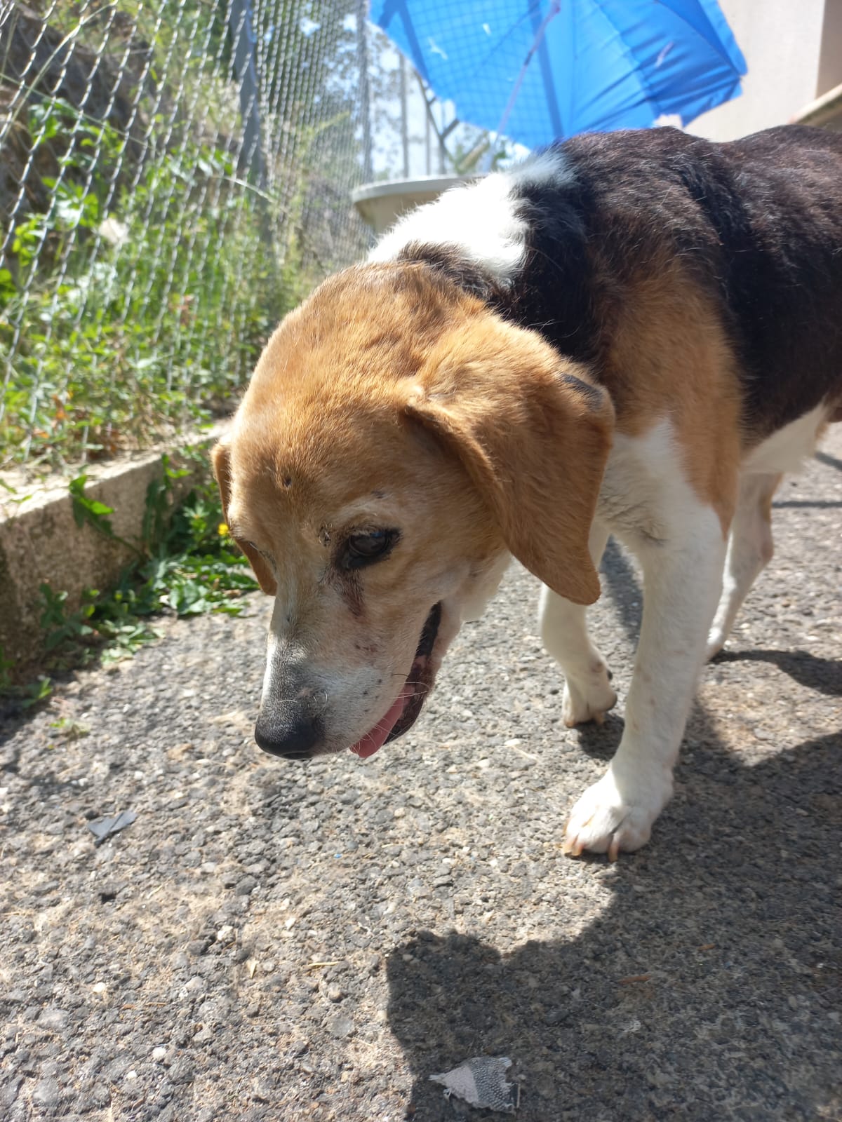 Whatsapp image 2025 06 13 at 15 16 45