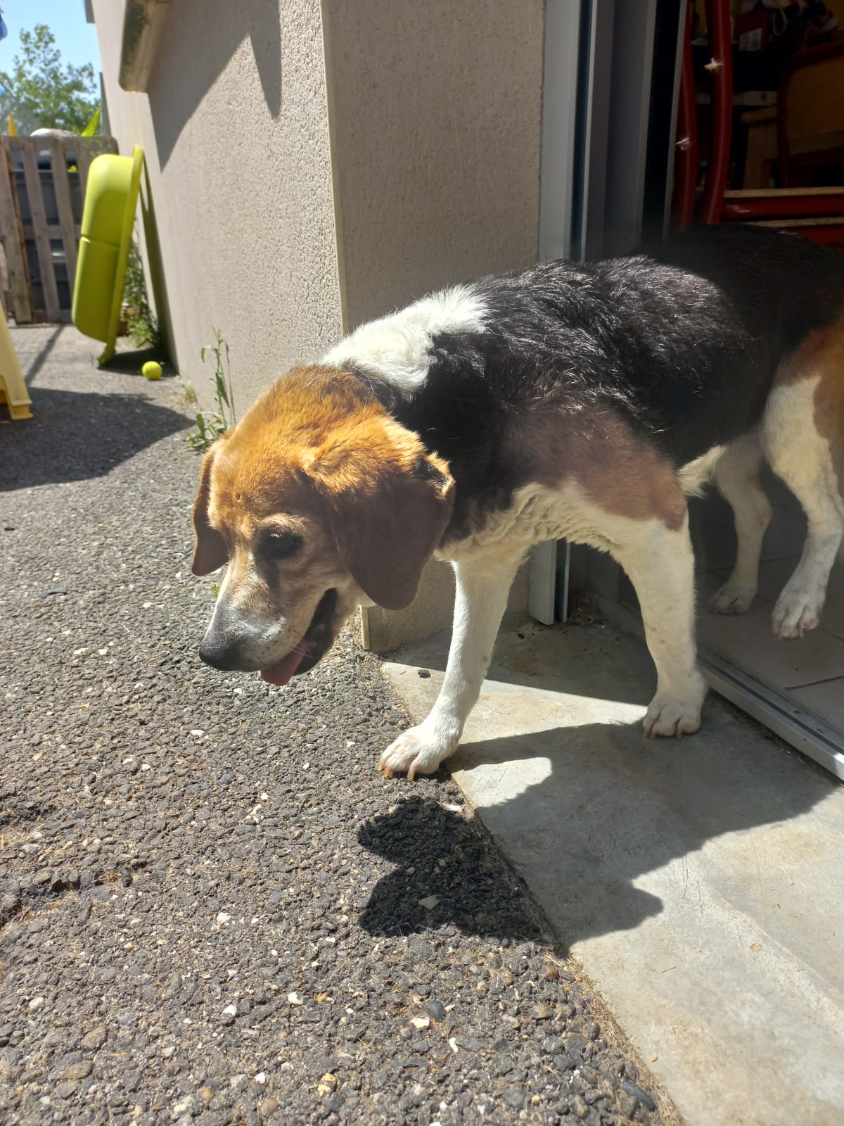 Whatsapp image 2025 06 13 at 15 11 20