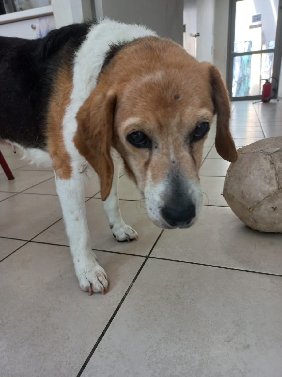 Whatsapp image 2025 06 13 at 15 11 12