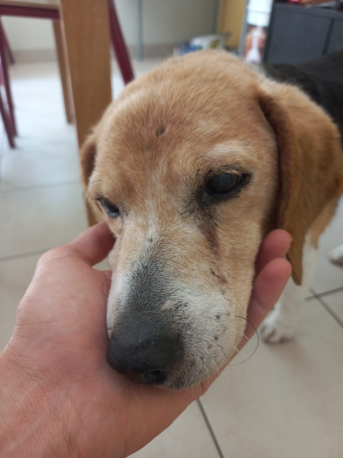 Whatsapp image 2025 06 13 at 15 08 01