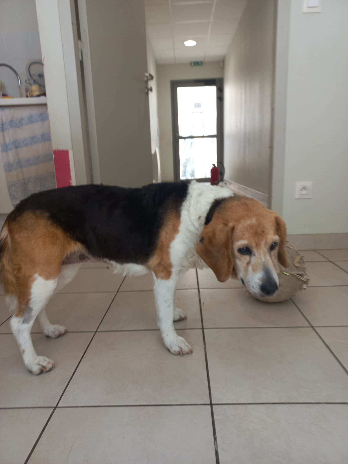 Whatsapp image 2025 06 13 at 15 07 55