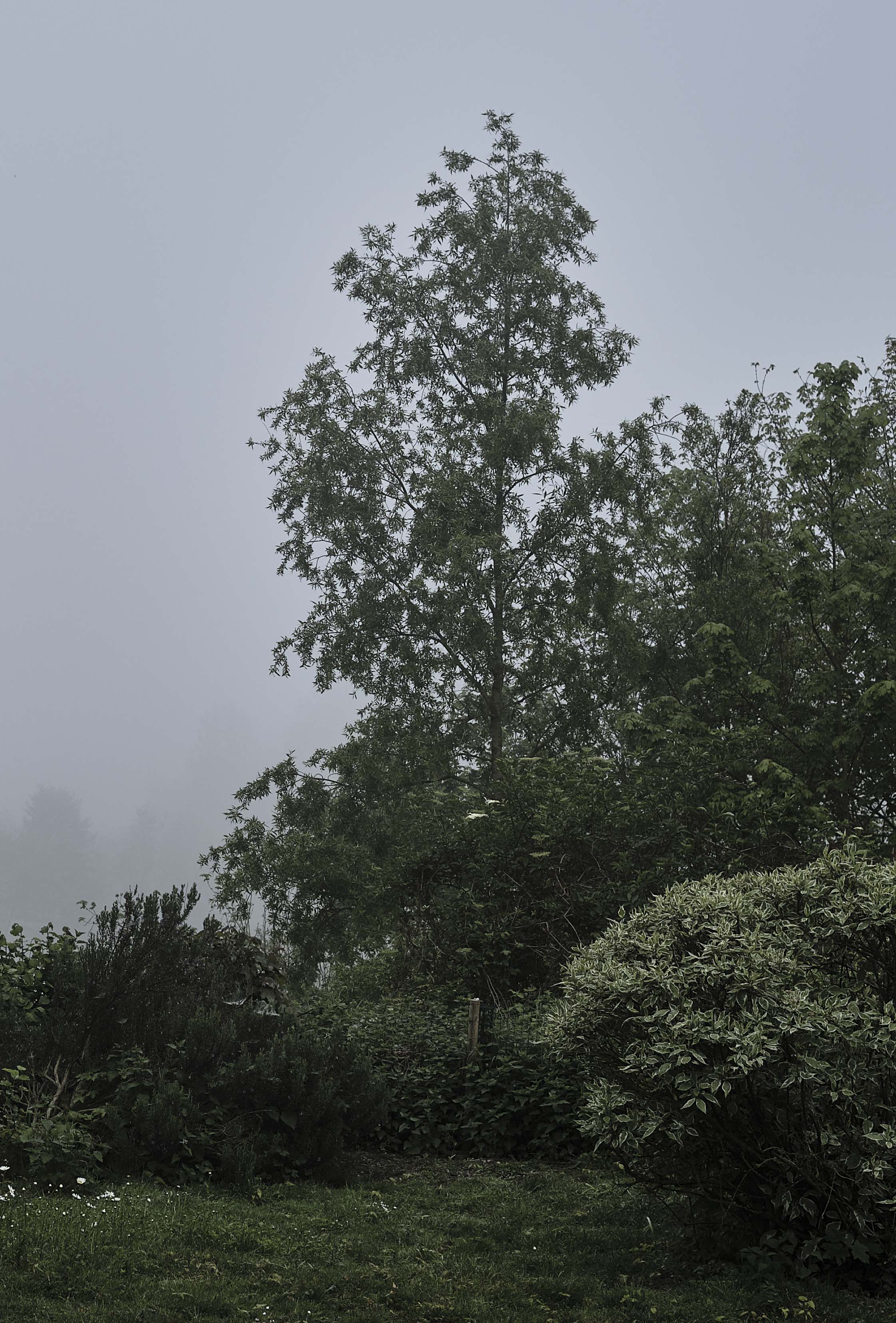 Anna et jeanne anne et jeanne 29