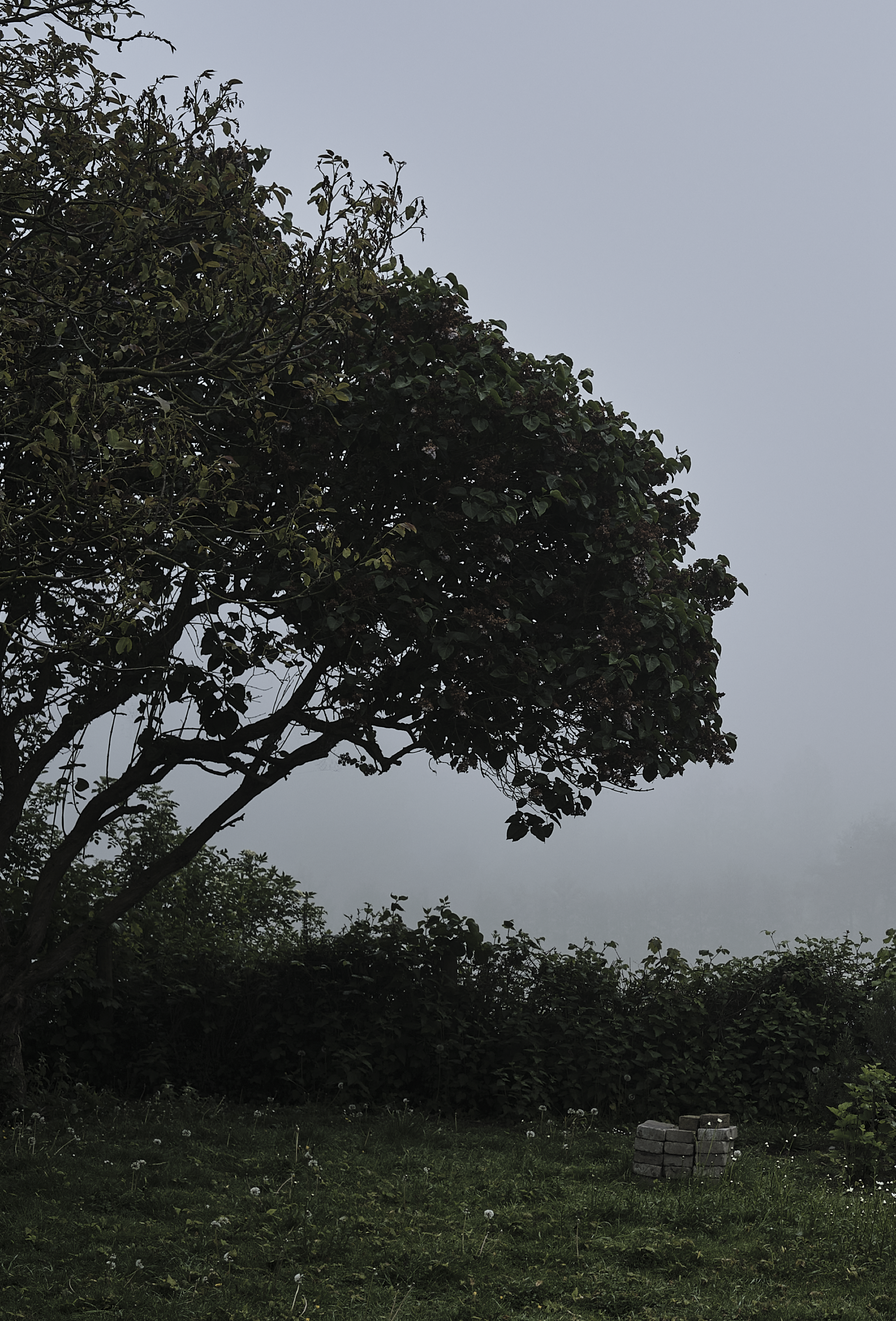 Anna et jeanne anne et jeanne 28