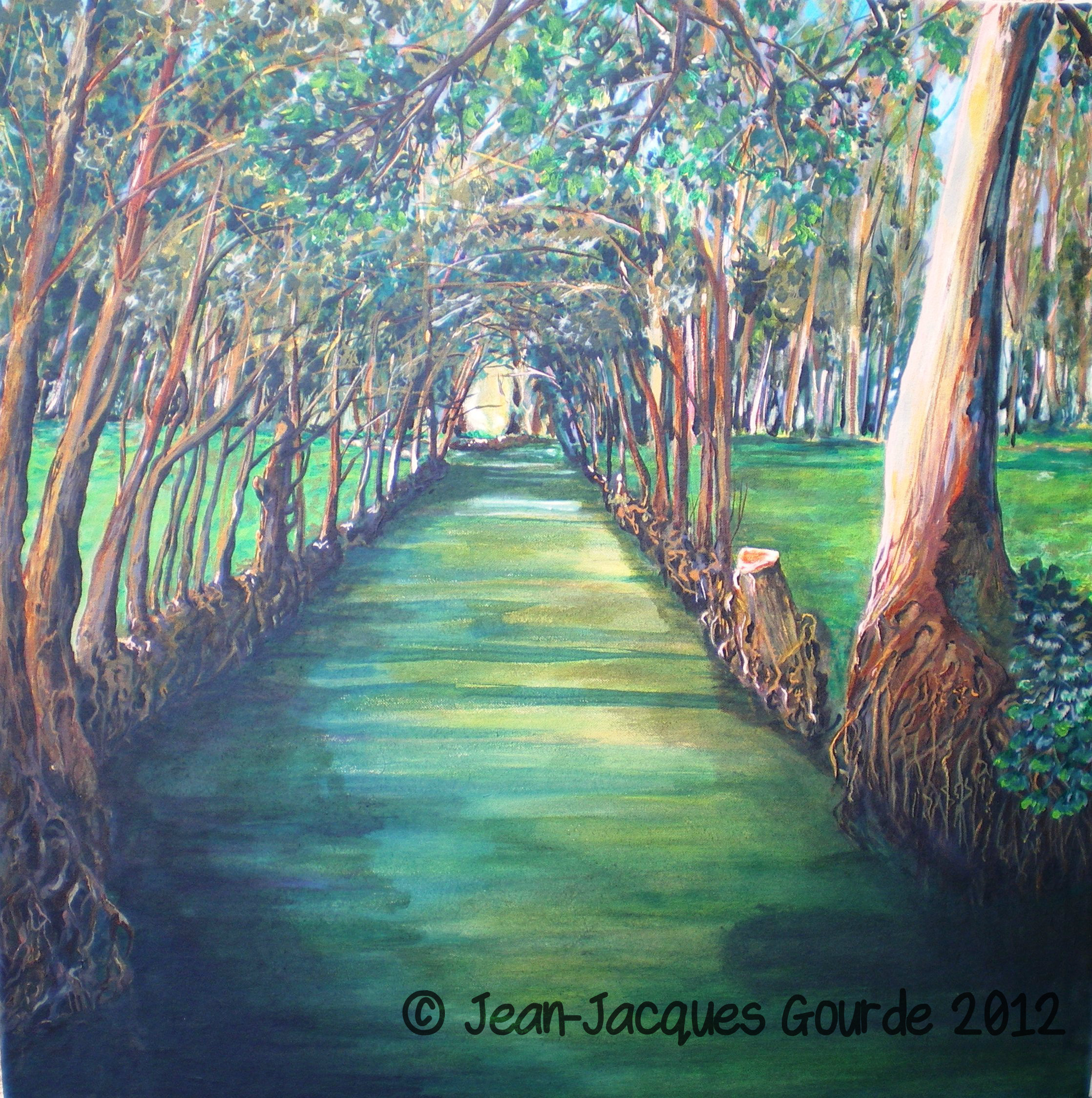Dans le marais r
