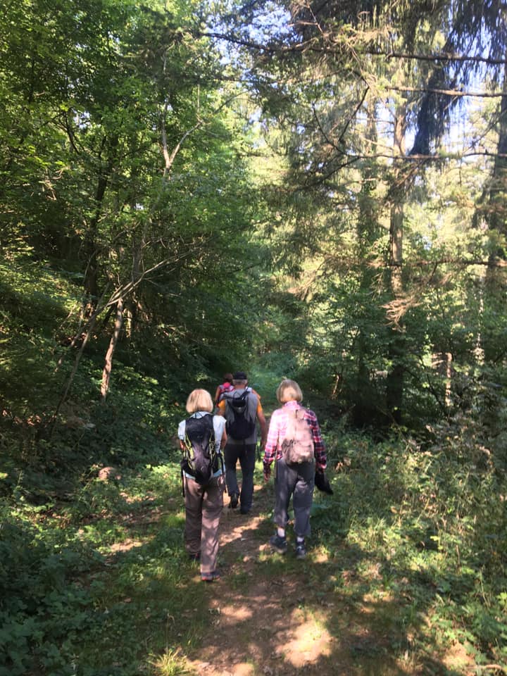 Marche tranquille 1