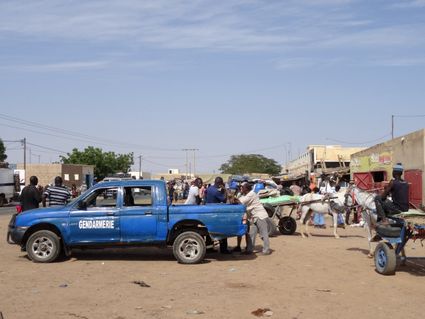 2013 12 marche a salde 25 