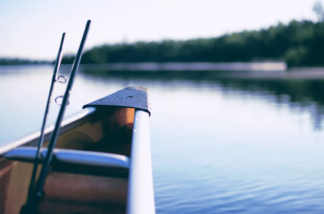 Chambres d'hôtes les plaisirs du lac de la Bultière