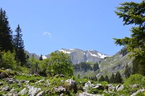 Vanil Noir dans les Préalpes fribourgeoises suisses / Photos of Switzerland