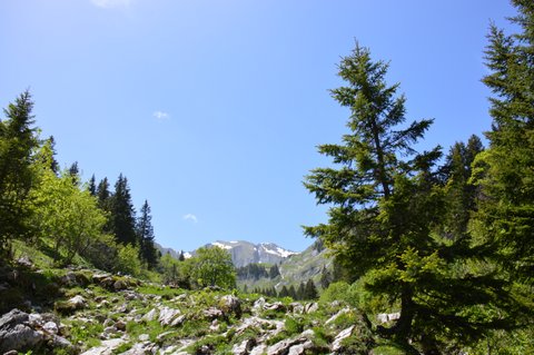 Vanil Noir dans les Préalpes suisses / Photos of Switzerland