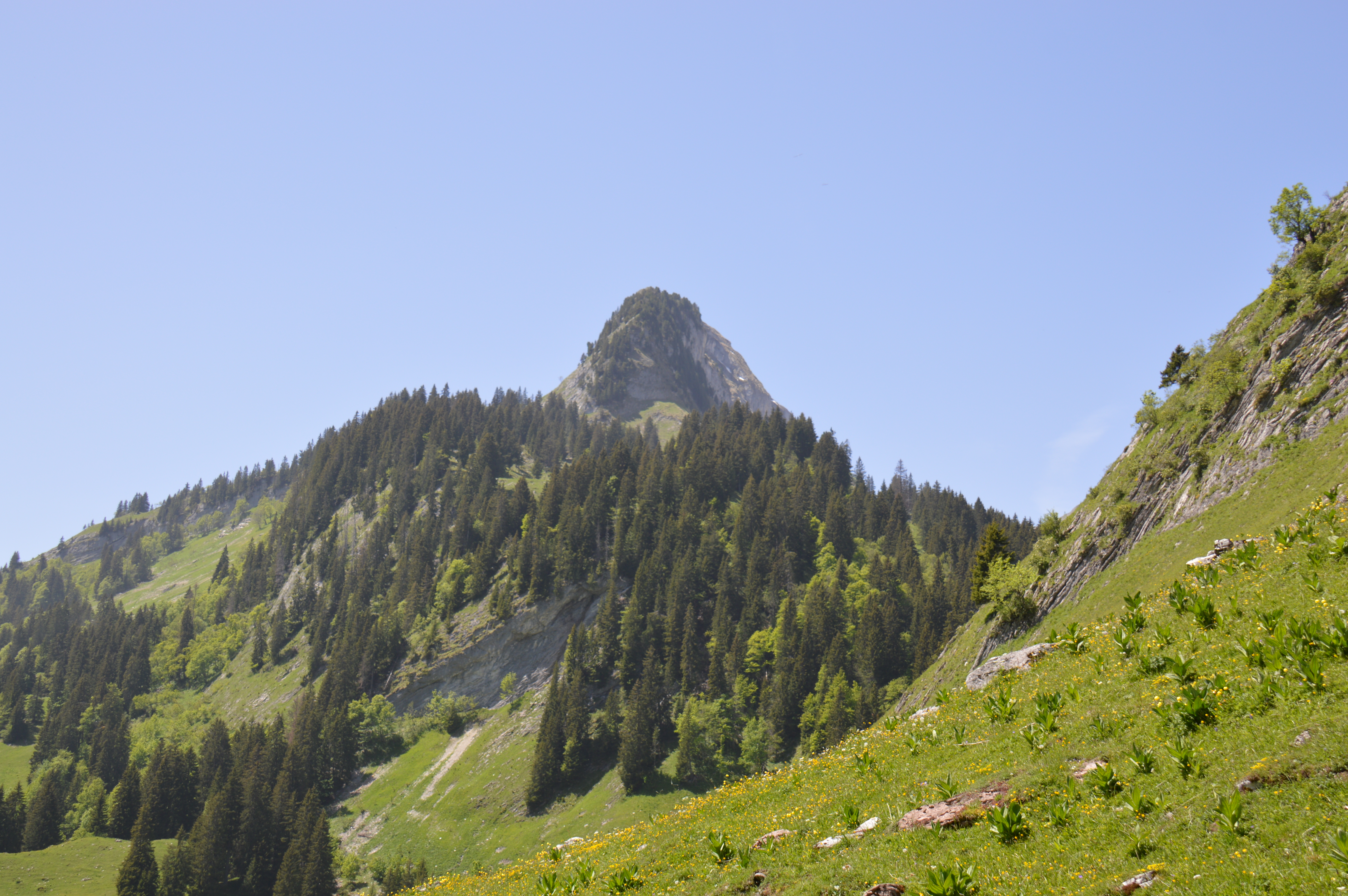 Vanil Noir / Préalpes fribourgeoises suisses / Swiss photos