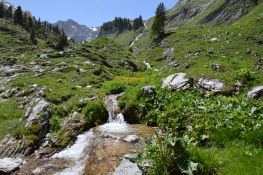 Réserve naturelle du Vanil Noir en Suisse