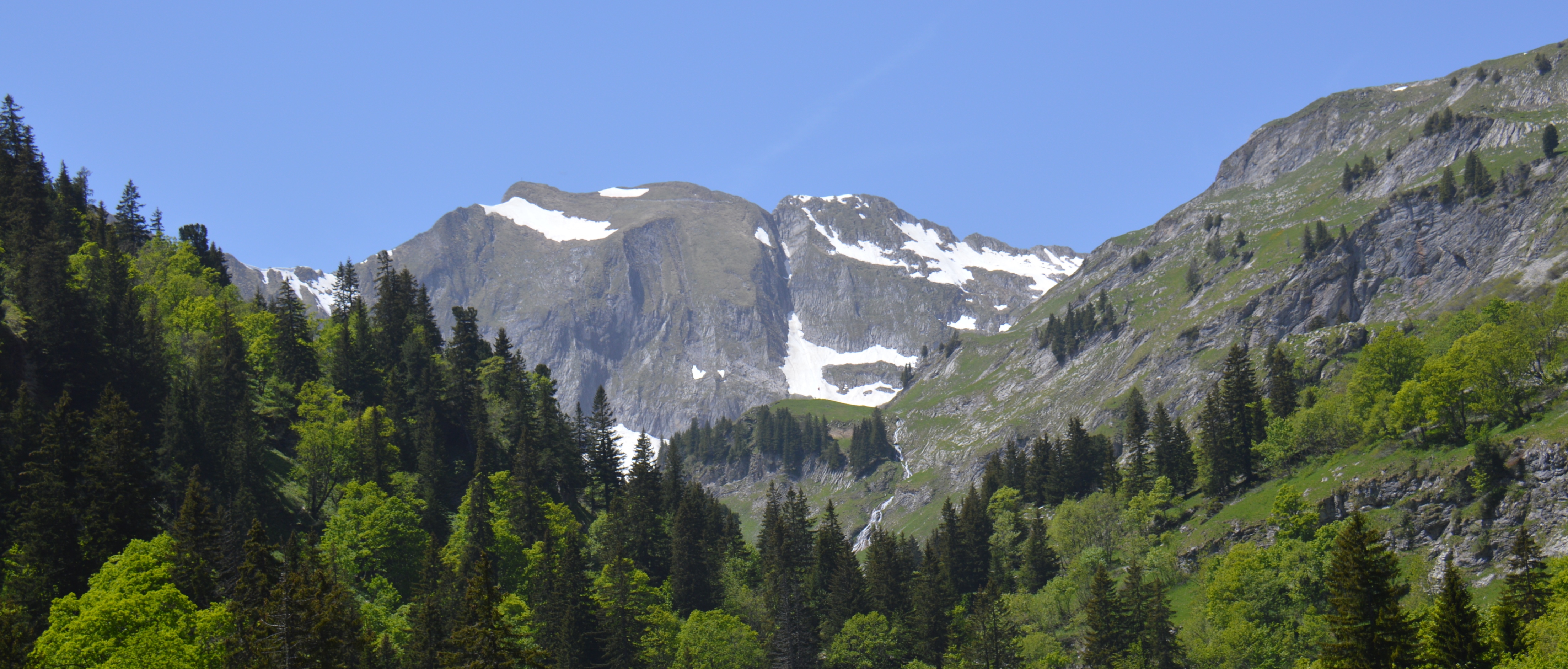DSC 1653 1