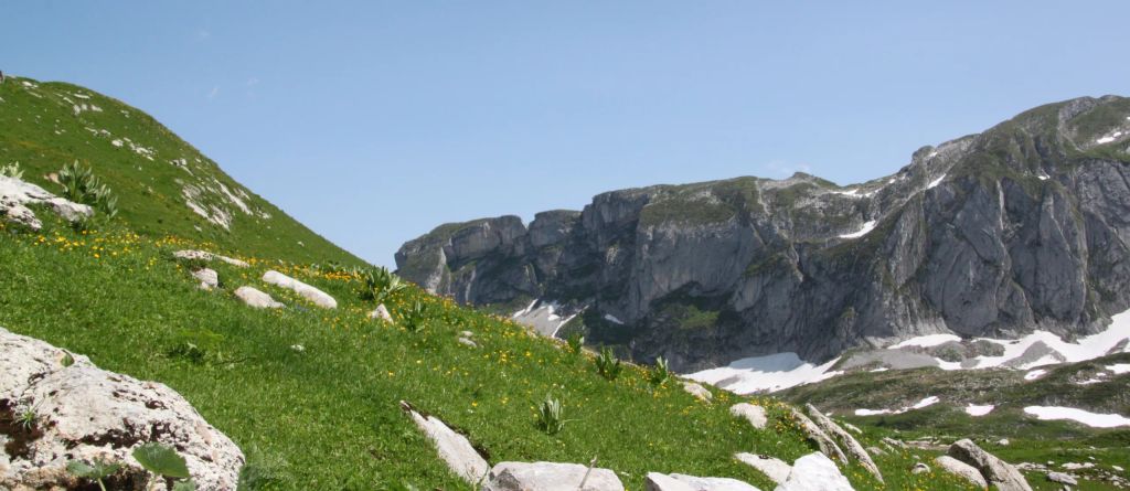 Paysage sauvage de la réserve naturelle du Vanil Noir / Suisse