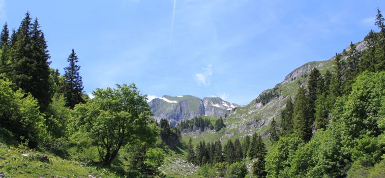 Réserve naturelle du Vanil Noir dans les Préalpes fribourgeoises suisses