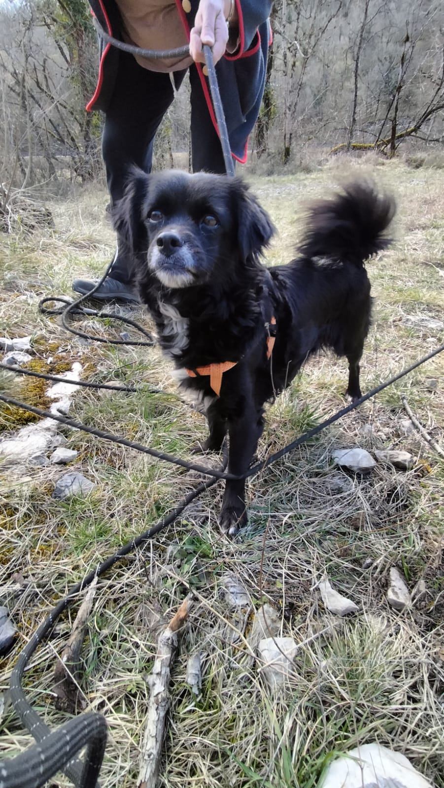 Whatsapp image 2025 03 02 at 18 55 09 1 