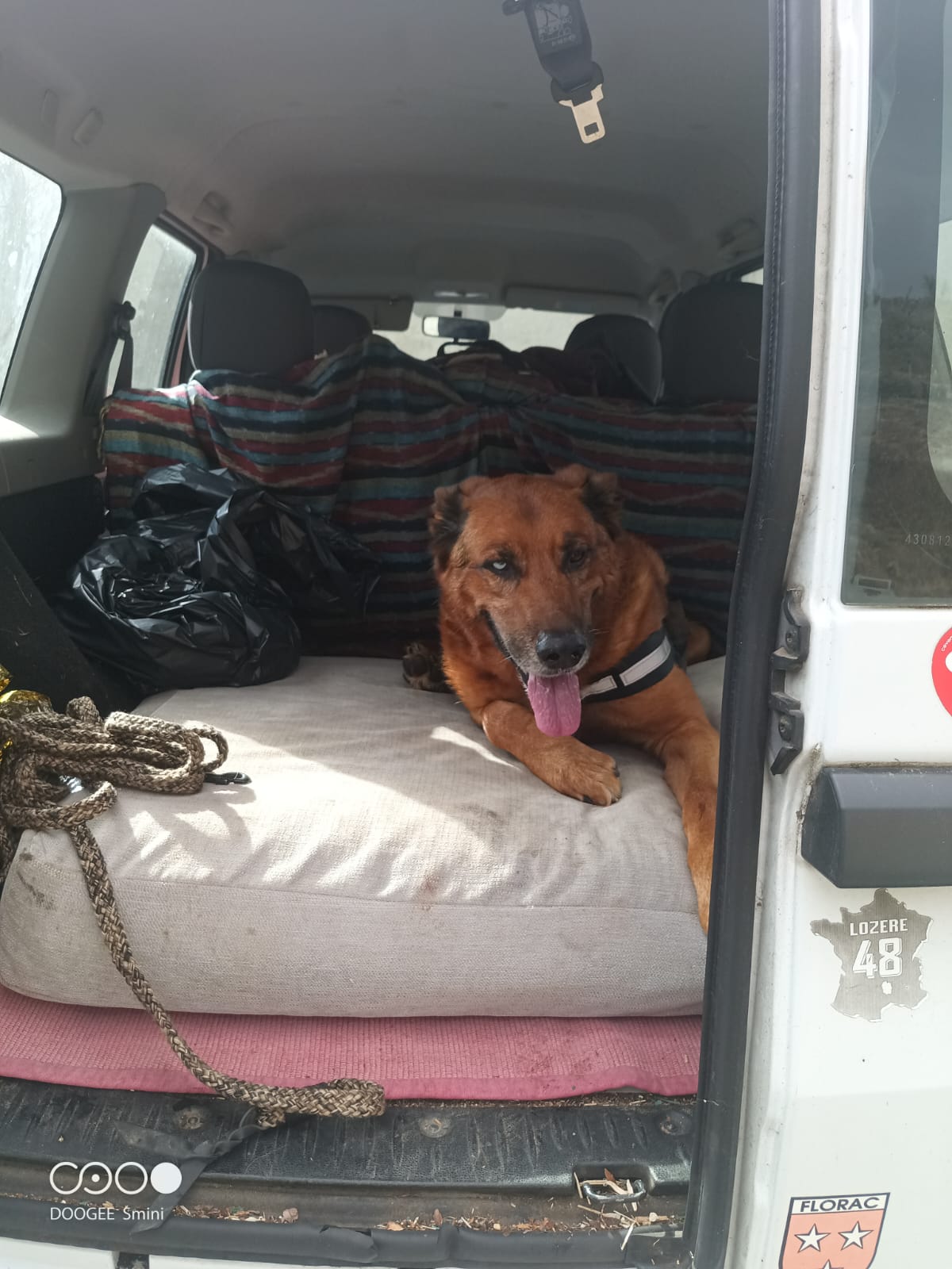 Whatsapp image 2025 03 23 at 12 58 35