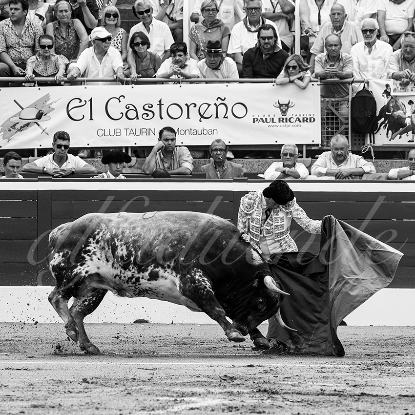 20220720 mont de marsan 002