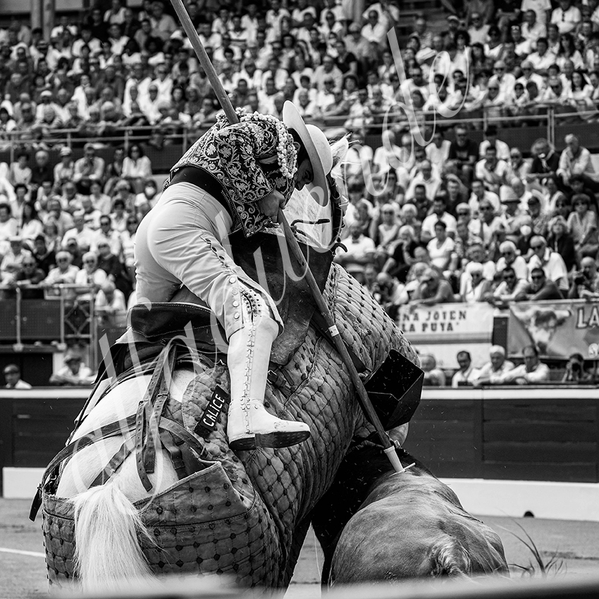 20220720 mont de marsan 003