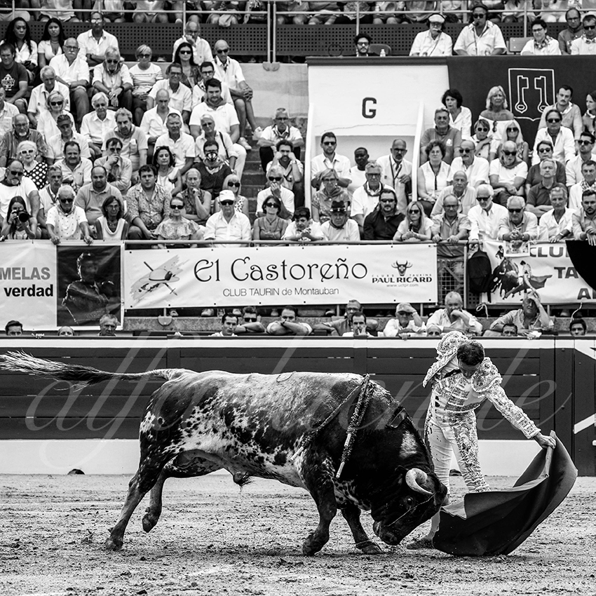 20220720 mont de marsan 004