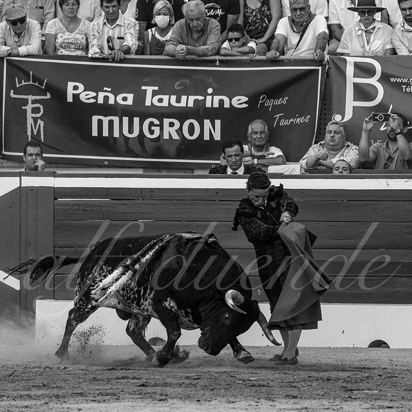 20220720 mont de marsan 006