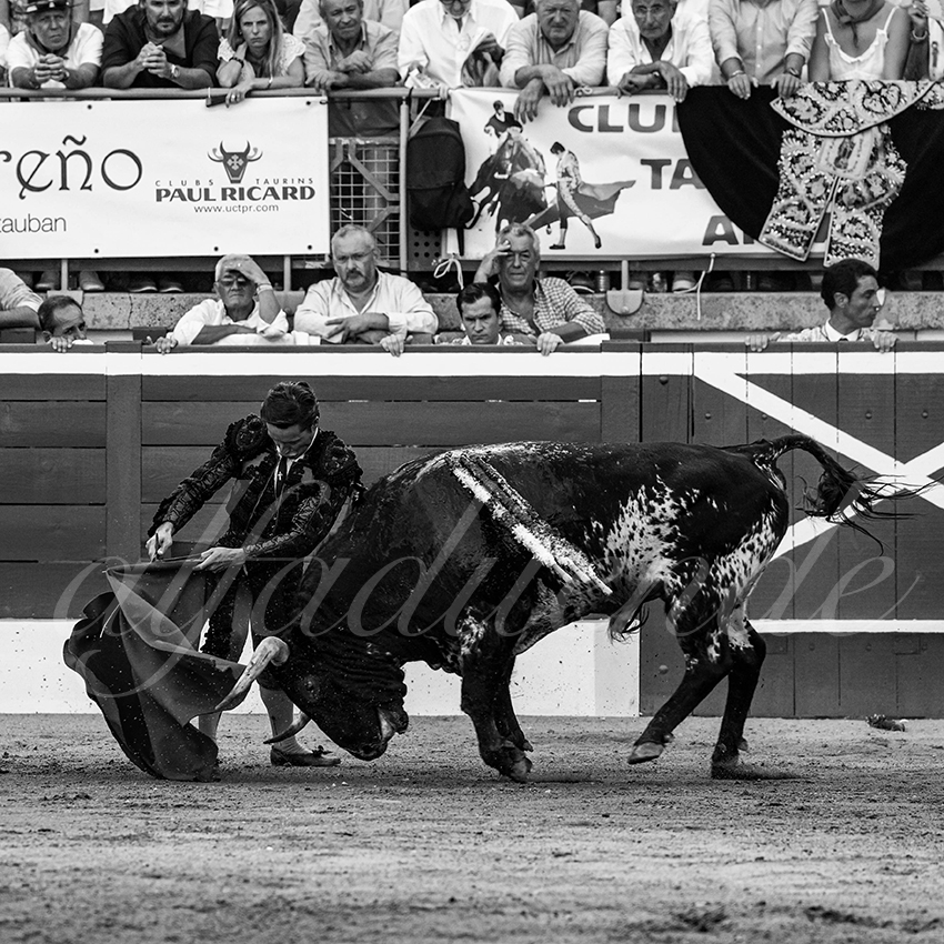 20220720 mont de marsan 007